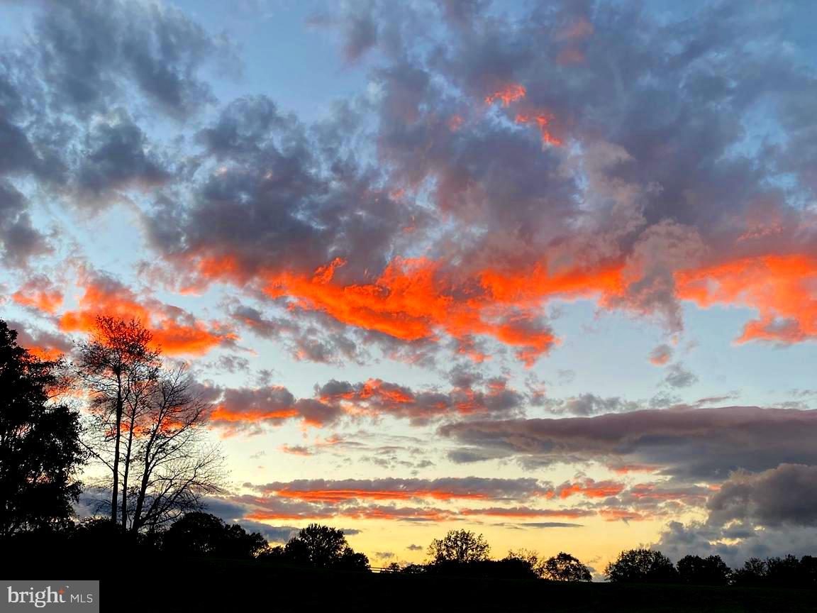 1651 Blue Ridge Farm Road Upperville, VA 20184 - Photo 38 of 41 Sun rise over farm