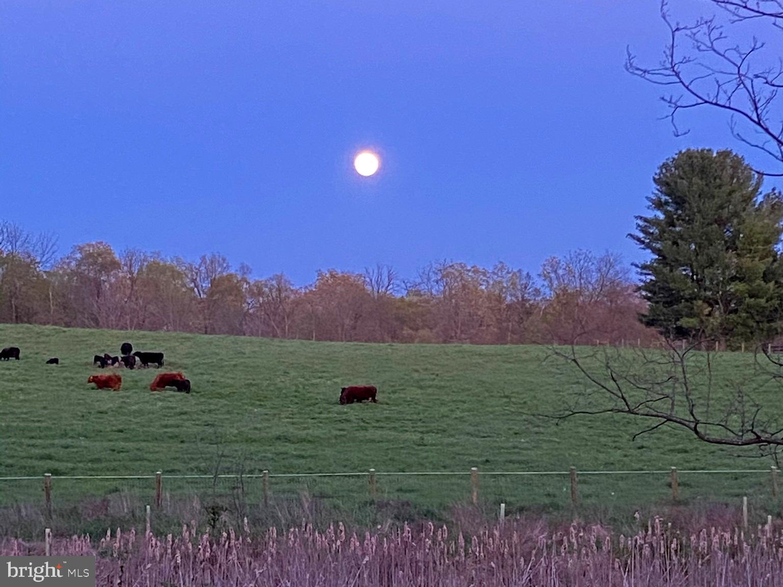 1651 Blue Ridge Farm Road Upperville, VA 20184 - Photo 39 of 41 full moon over farm