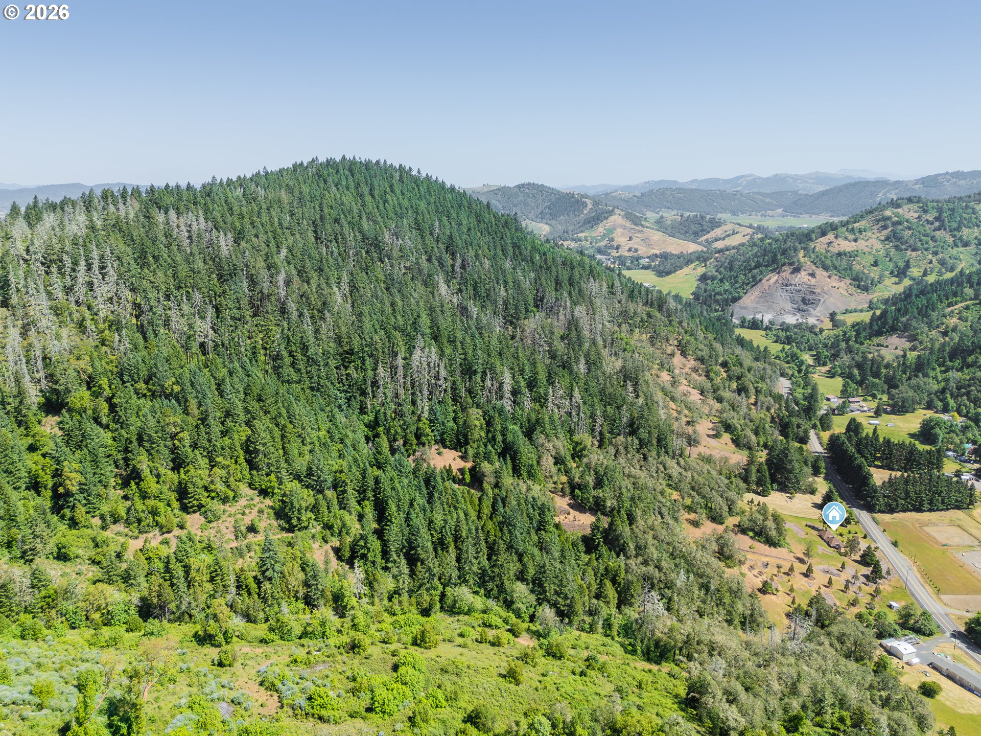 3707 Willis Creek Road Winston, OR 97496 - Photo 12 of 30 a view of a large trees with plants in front of it