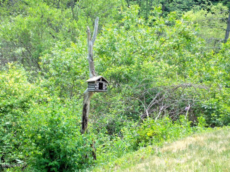 767 Reservoir Road North Adams, MA 01247 - Photo 28 of 28 28 Nature