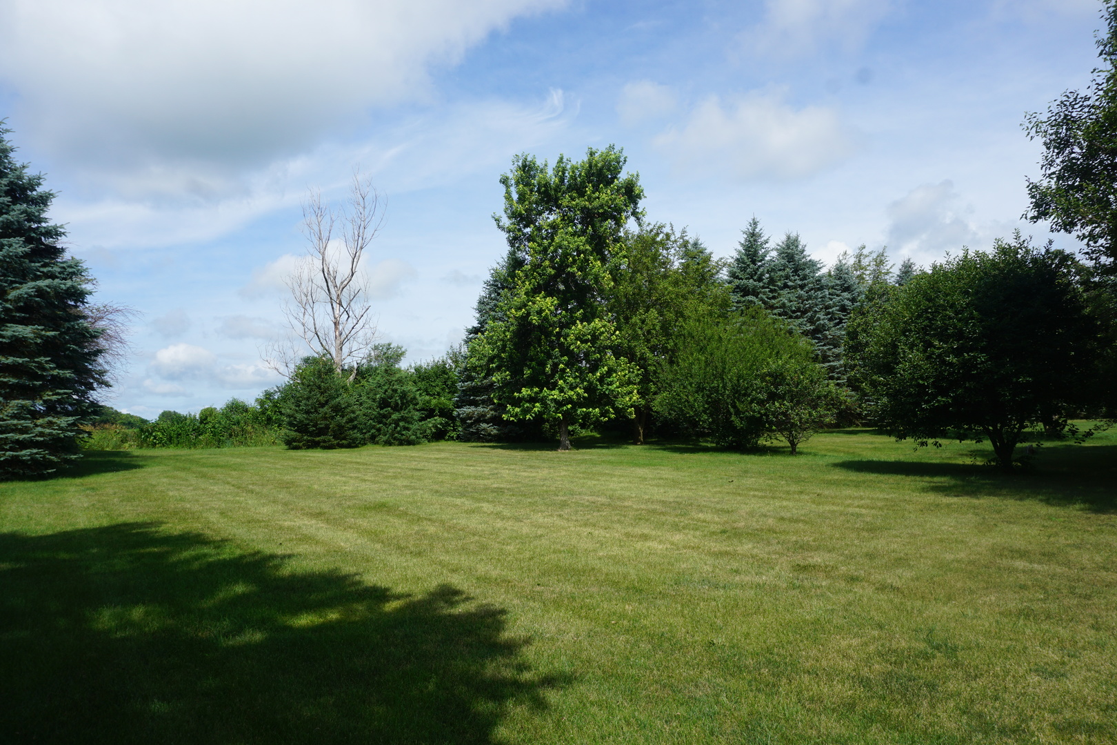 4914 Highway 113 Kankakee, IL 60901 - Photo 53 of 54 a view of a grassy field with trees in the background