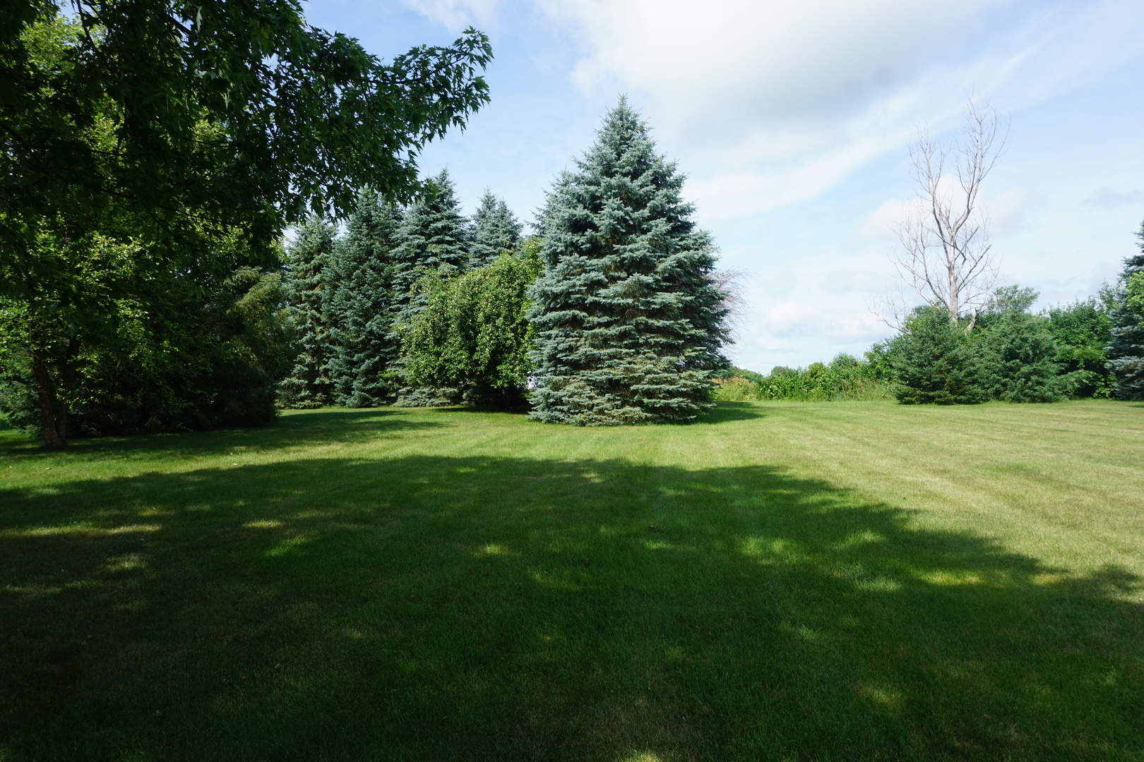 4914 Highway 113 Kankakee, IL 60901 - Photo 54 of 54 a view of green field with trees in the background