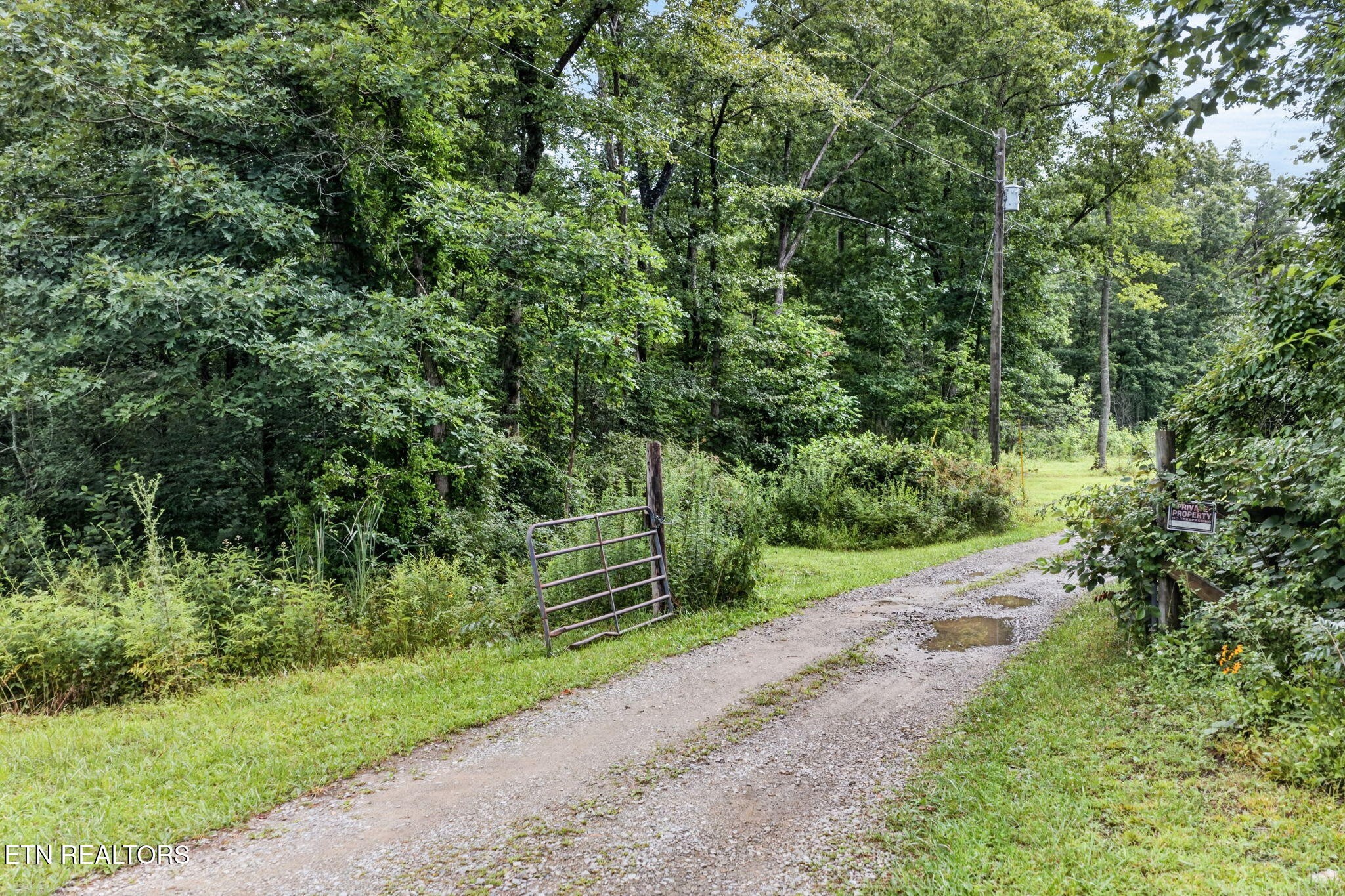 460 Jim Garrett Road Monterey, TN 38574 - Photo 6 of 22 Gallery Image 6
