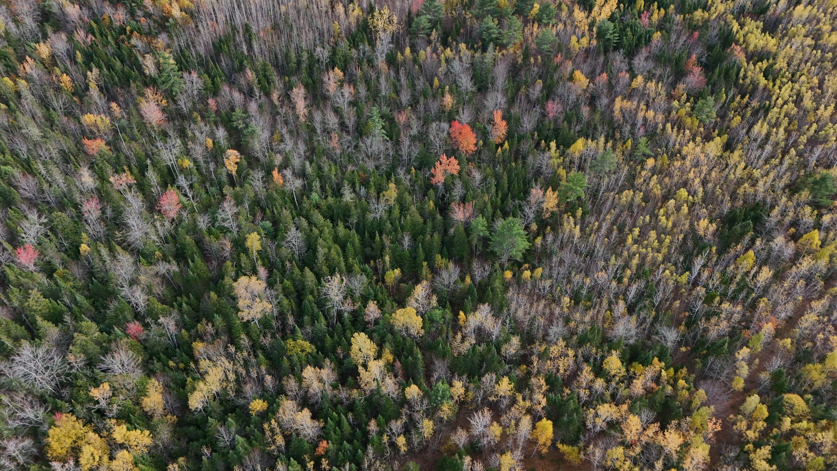 0 Babcock Road Newburgh, ME 04444 - Photo 16 of 52