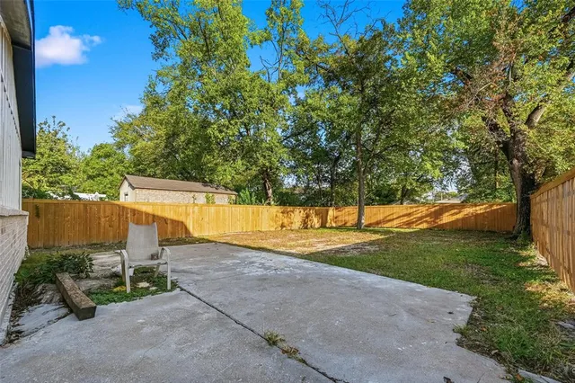 a view of backyard and tree