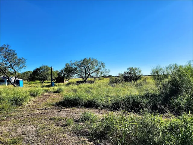 a view of a green field with lots of bushes