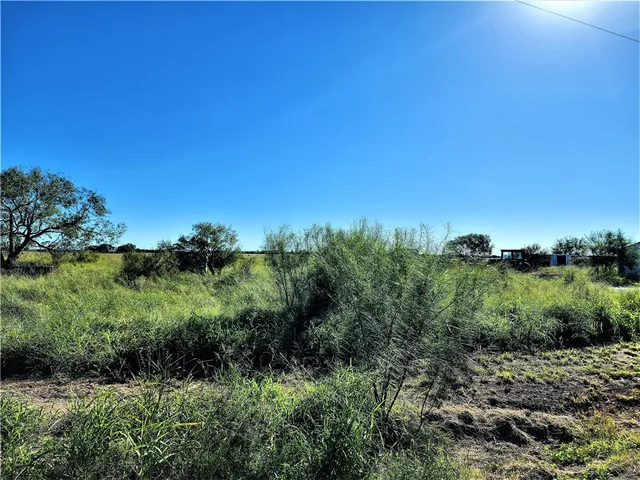 a view of a lush green field