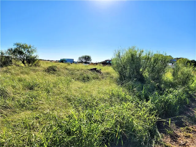 a view of a lush green space
