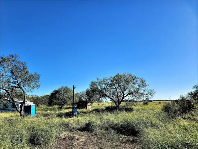 a view of a field of grass and trees