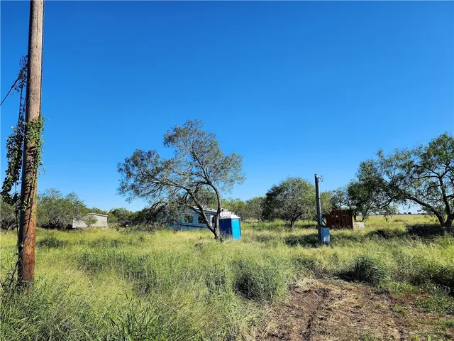 a view of a field with a tree in the background