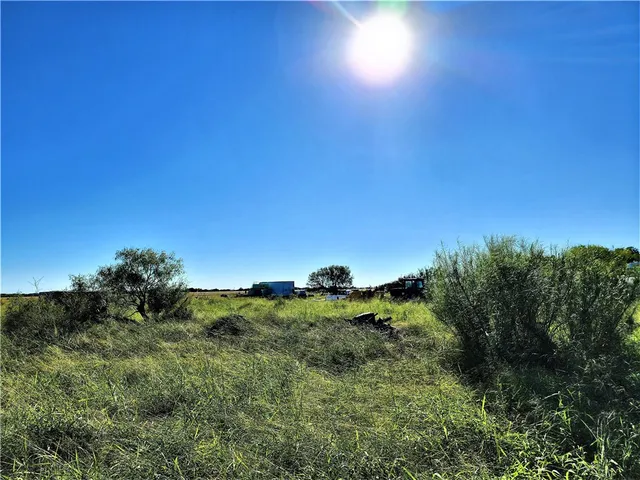 a view of a big yard with plants and large trees