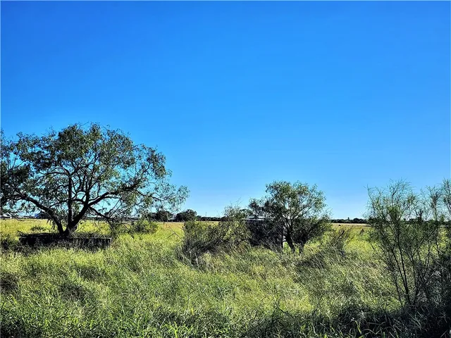 a view of a lake with a tree