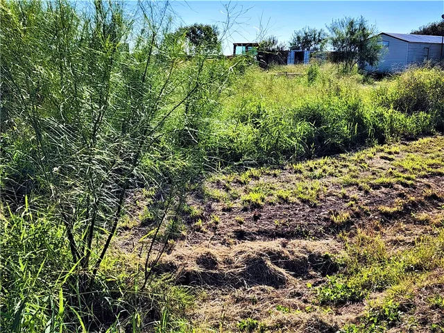 a view of a garden with a house
