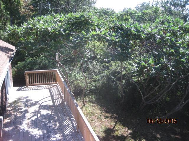 14 Tower Hill Road Orrs Island, ME 04066 - Photo 6 of 33 Staghorn Sumac colony, a deciduous...