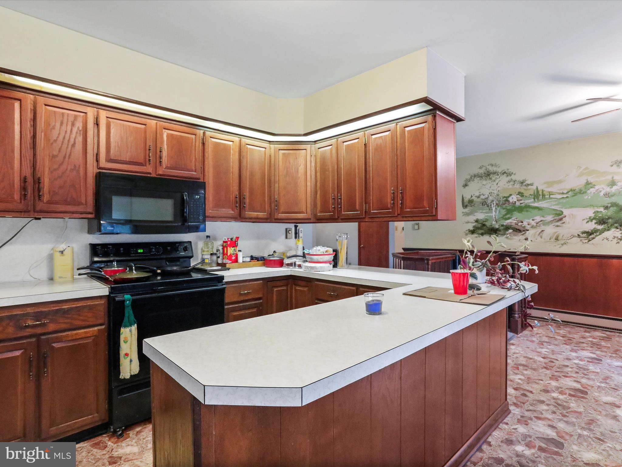 16528 Lappans Road Williamsport, MD 21795 - Photo 15 of 40 Gallery Image 15