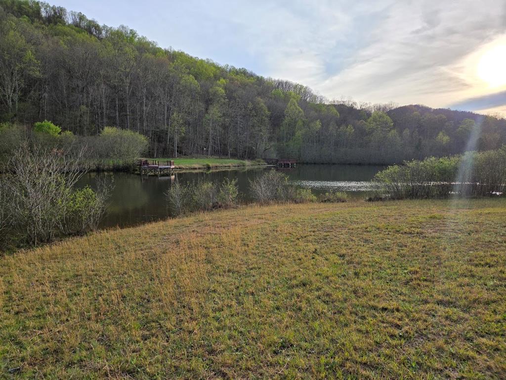 Lot 53 Calvender Road Turtletown, TN 37391 - Photo 1 of 14 Main View