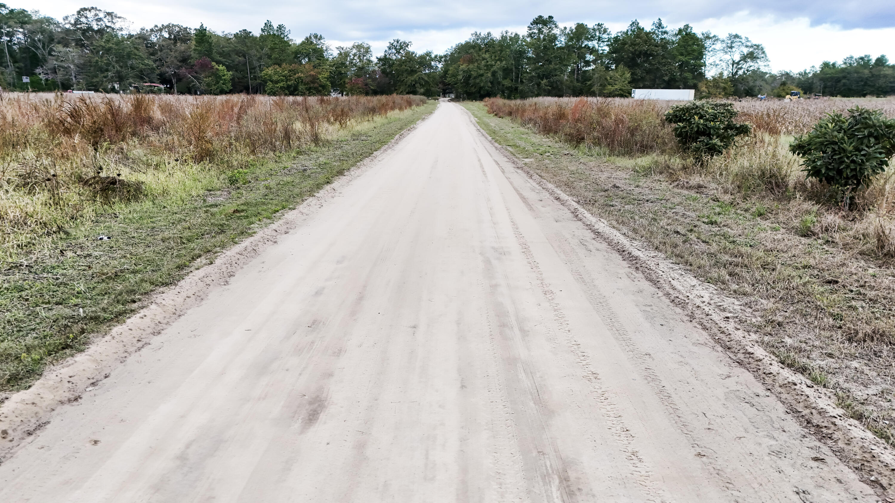 0 Chavis Road Blackville, SC 29817 - Photo 13 of 22 5-DJI_20251031050422_0268_D