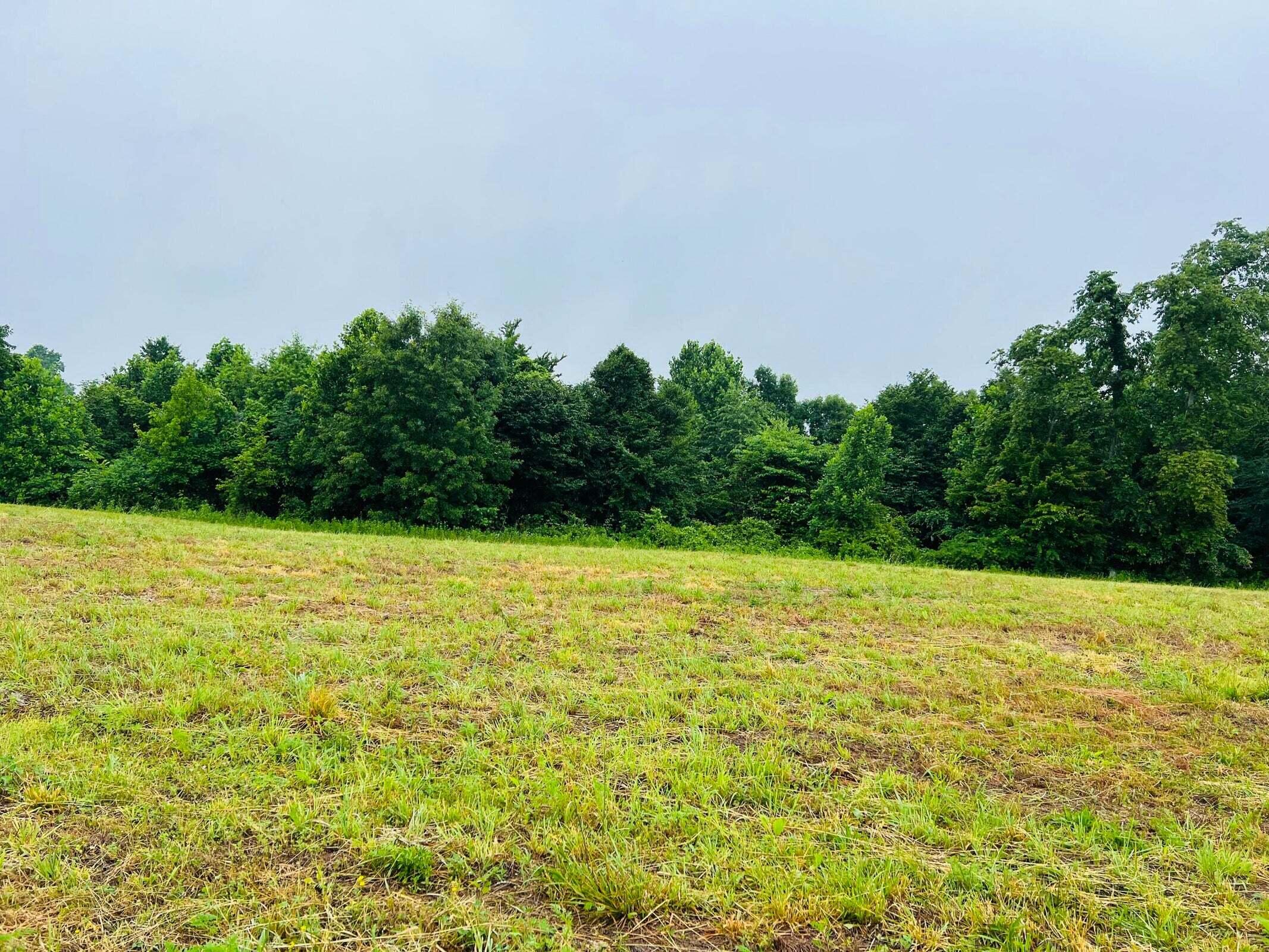 13 Purdy Sano Road Columbia, KY 42728 - Photo 12 of 12 20230619185513979077000000-o