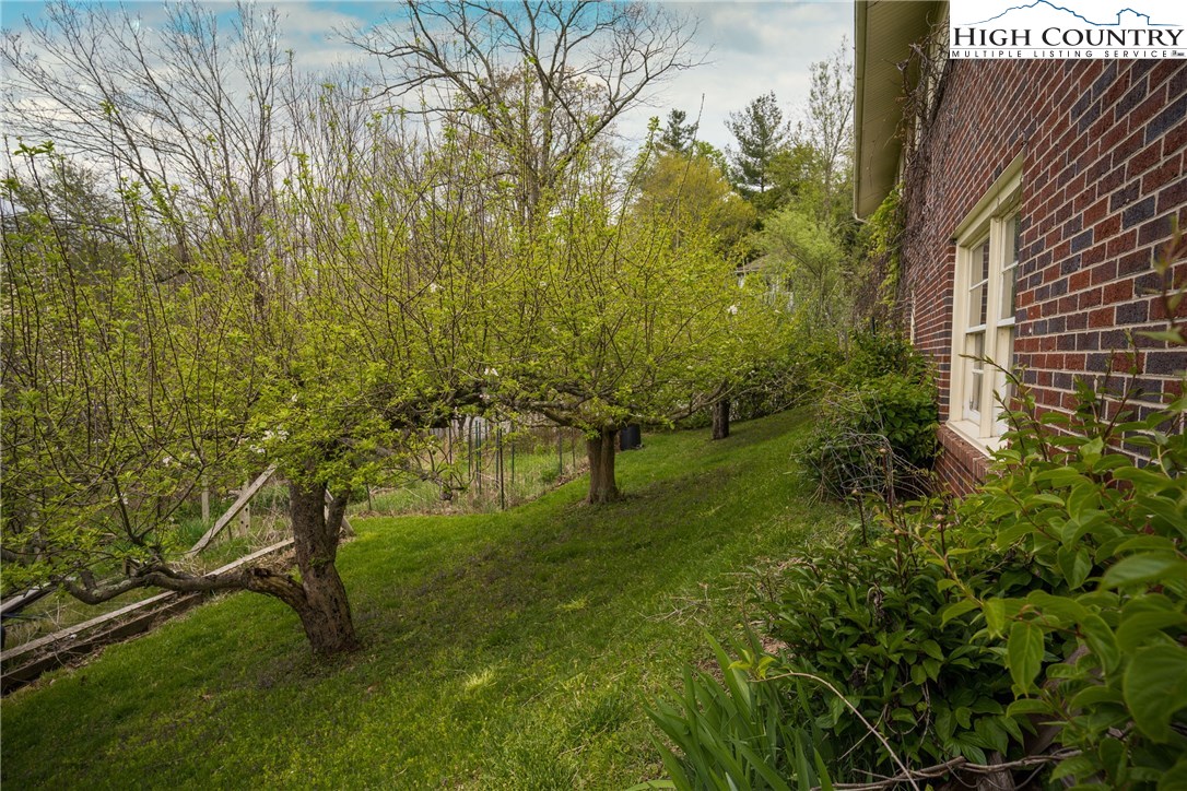 121 Eastview Drive Boone, NC 28607 - Photo 39 of 45 Gallery Image 39