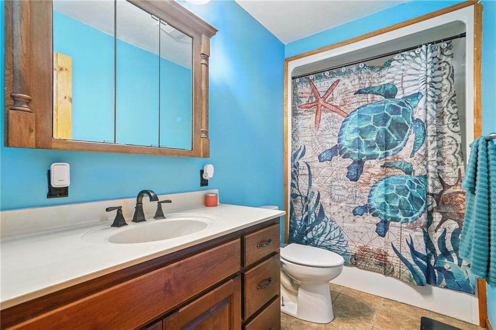 749 Old Federal Road South Chatsworth, GA 30705 - Photo 27 of 45 a bathroom with a sink a toilet and a mirror