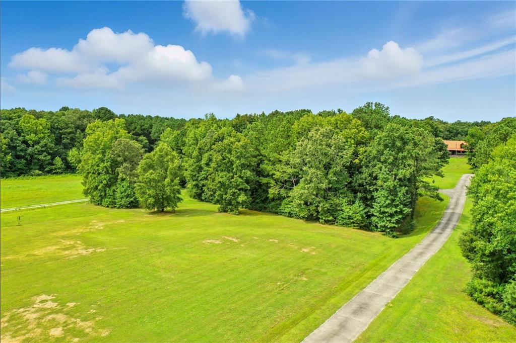 749 Old Federal Road South Chatsworth, GA 30705 - Photo 39 of 45 a view of a big yard with large trees
