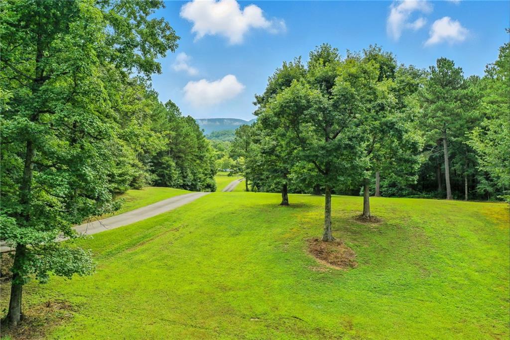 749 Old Federal Road South Chatsworth, GA 30705 - Photo 41 of 45 a swimming pool with lots of green space and trees in the background