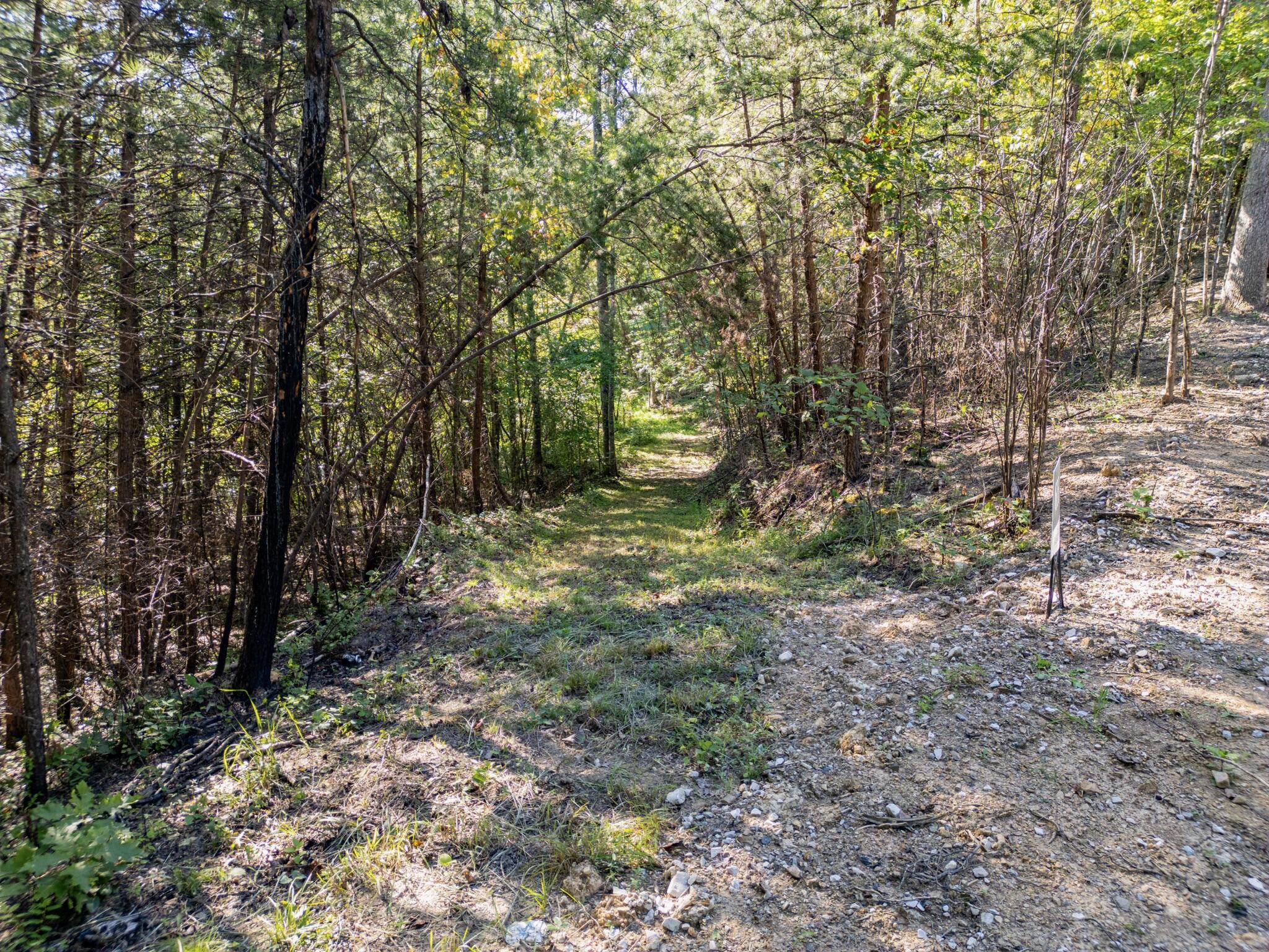 Highlands Of Rrg Lot 627 Highlands Of Rrg Trail Zoe, KY 41397 - Photo 7 of 11 DJI_0613-Enhanced-SR