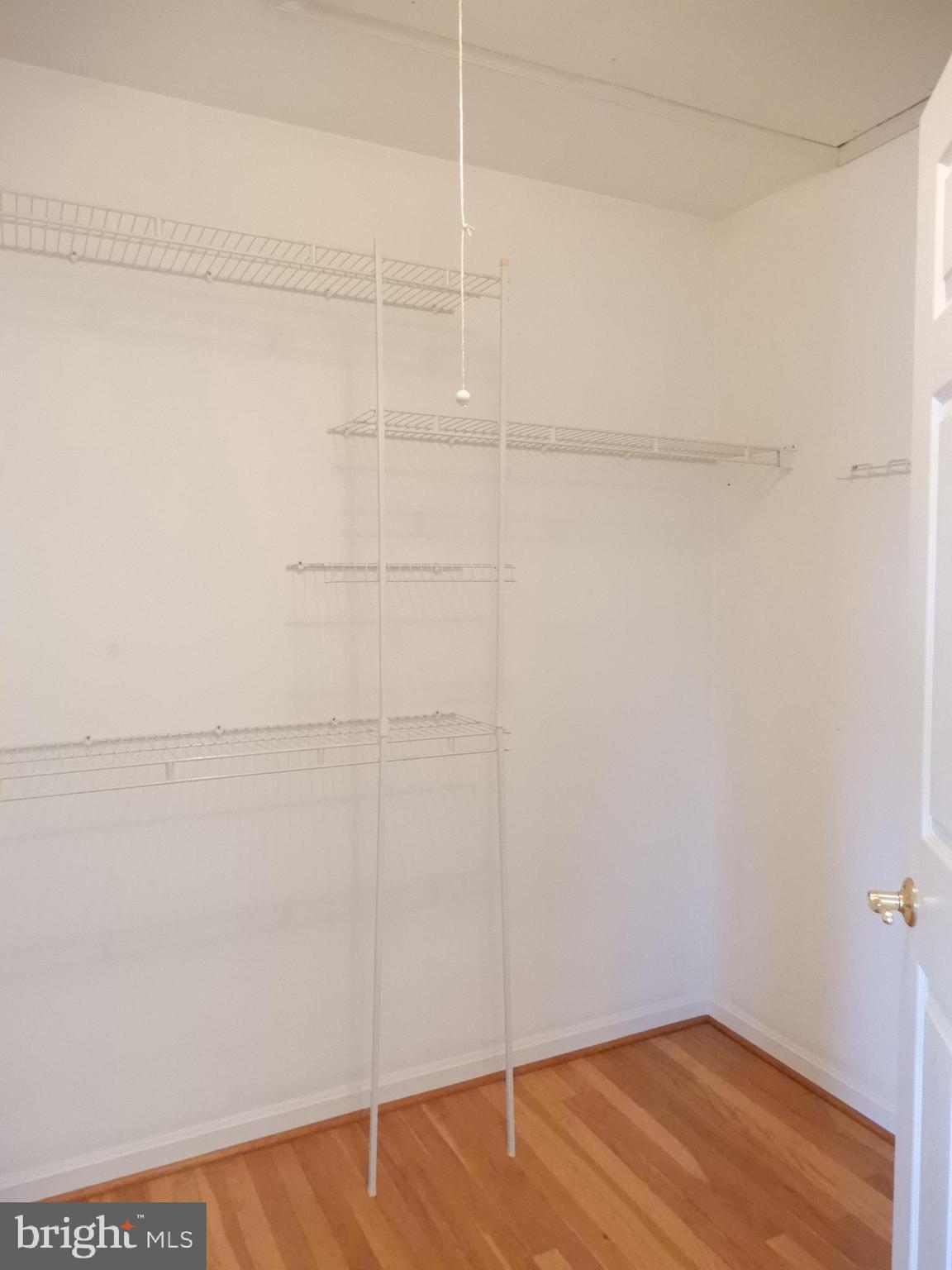 7638 Laurel Drive Pasadena, MD 21122 - Photo 27 of 51 Primary Bedroom Walk-in Closet