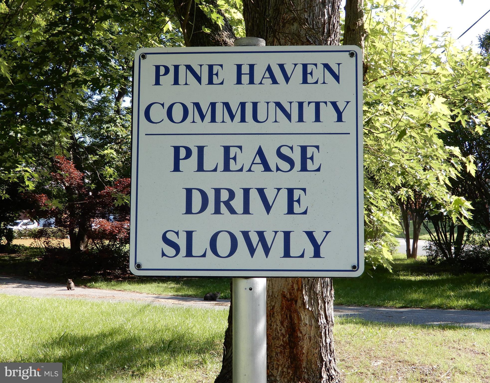 7638 Laurel Drive Pasadena, MD 21122 - Photo 37 of 51 Community