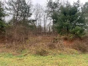 $44,000 | Lot 8 Ringertown Road, Export, PA 15632