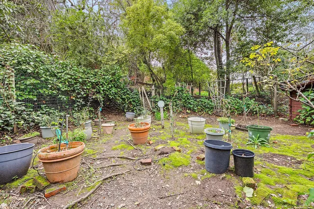 a view of a swimming pool with a garden