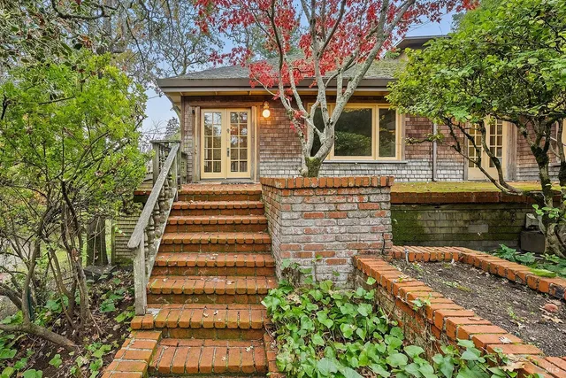 a view of backyard with large trees