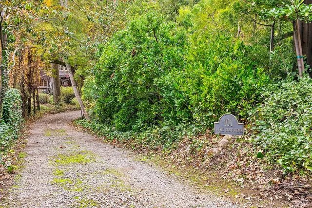 a green field with trees in the background