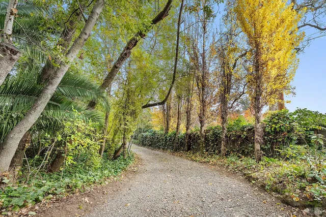 $1,999,000 | 101 Laurel Grove Avenue, Kentfield, CA 94904