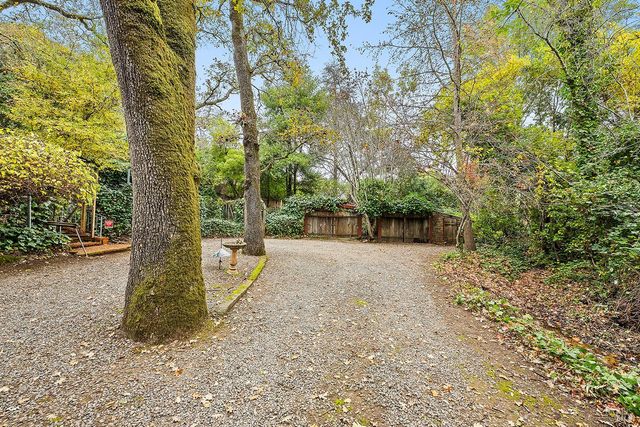 a view of a house with a tree in front of it