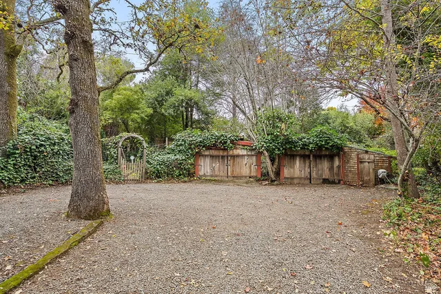 a view of road with large trees
