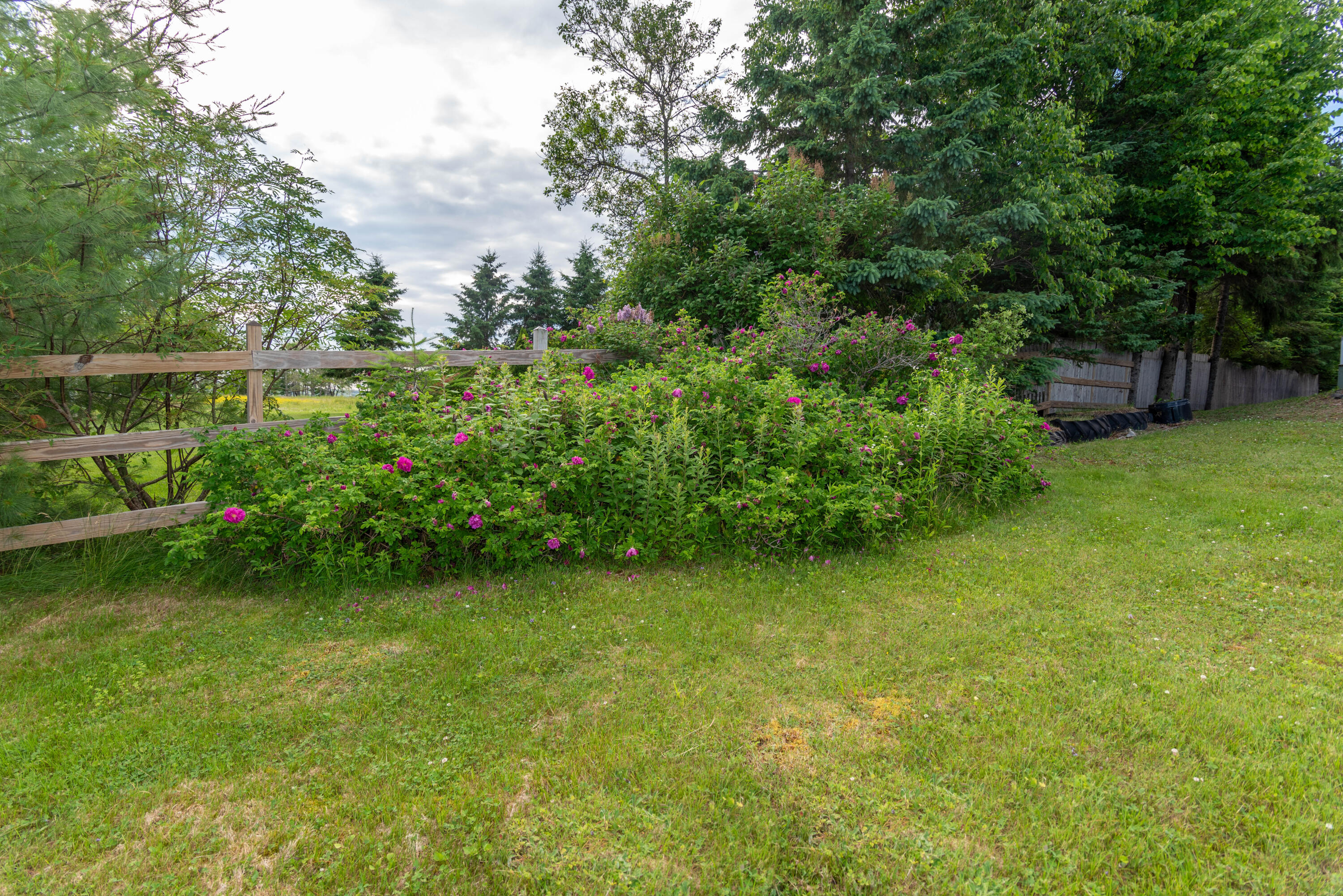 675 Lake Shore Road St. David, ME 04773 - Photo 12 of 51 DSC_2683