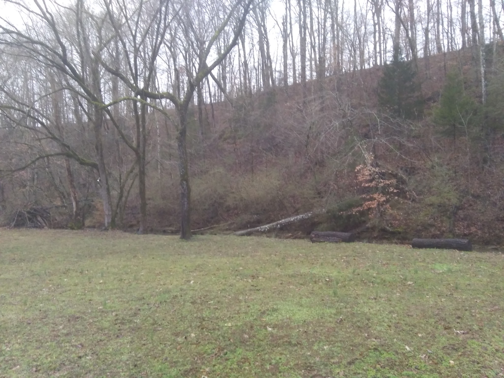 491 Defeated Creek Road Centerville, TN 37033 - Photo 5 of 30 Gallery Image 5