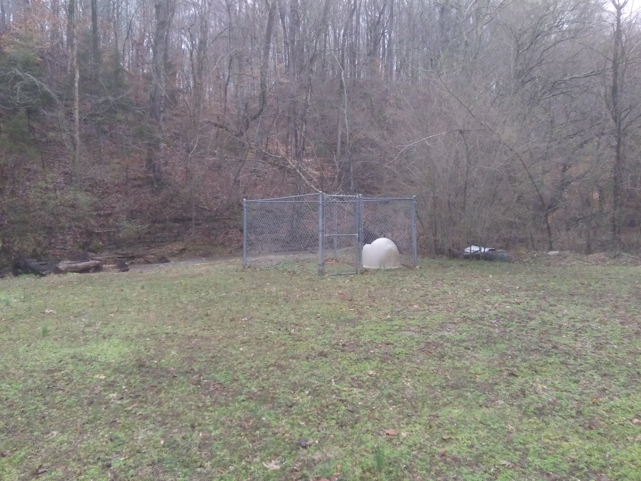 491 Defeated Creek Road Centerville, TN 37033 - Photo 6 of 30 Gallery Image 6