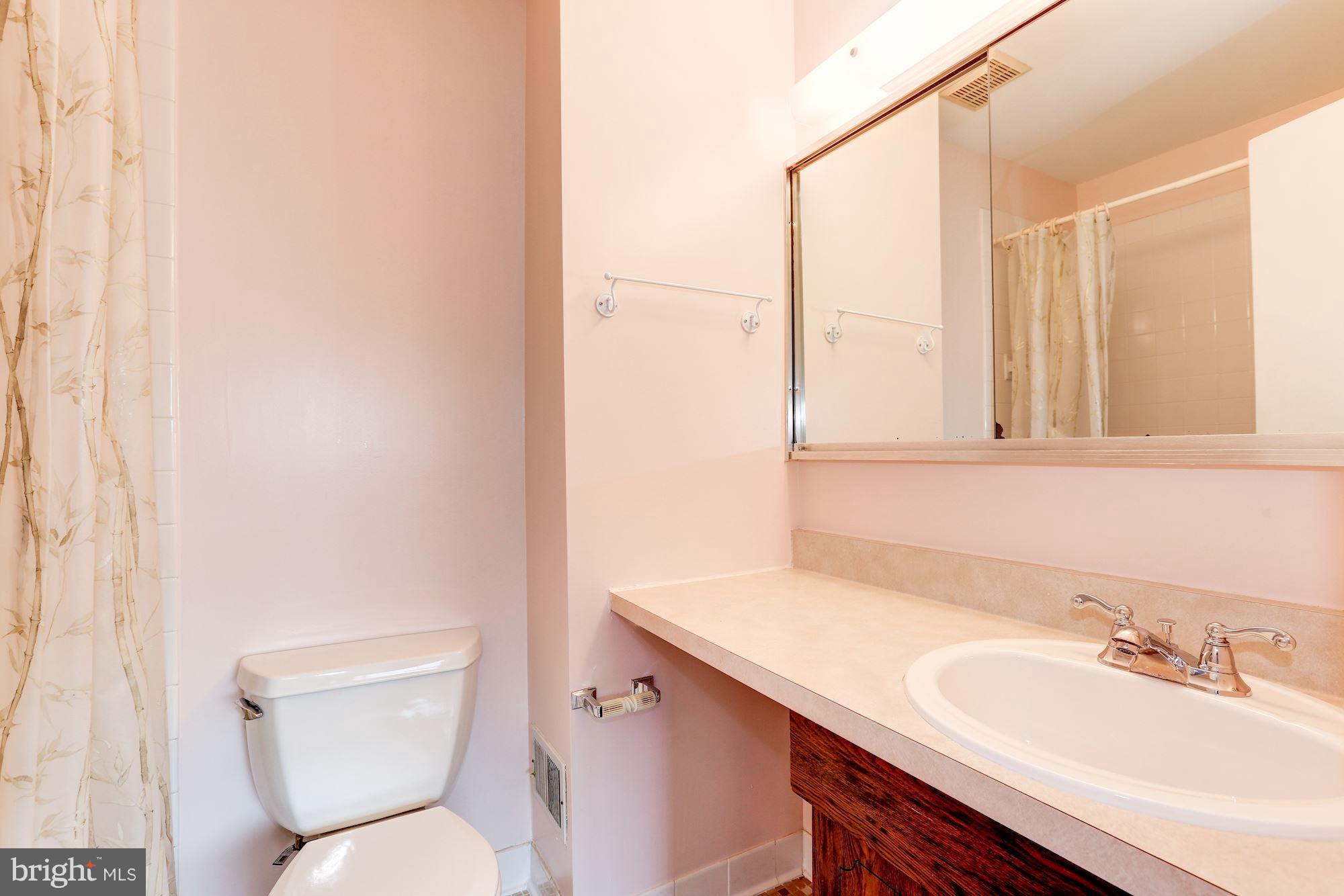 18545 Split Rock Lane Germantown, MD 20874 - Photo 22 of 30 Bath (Master)