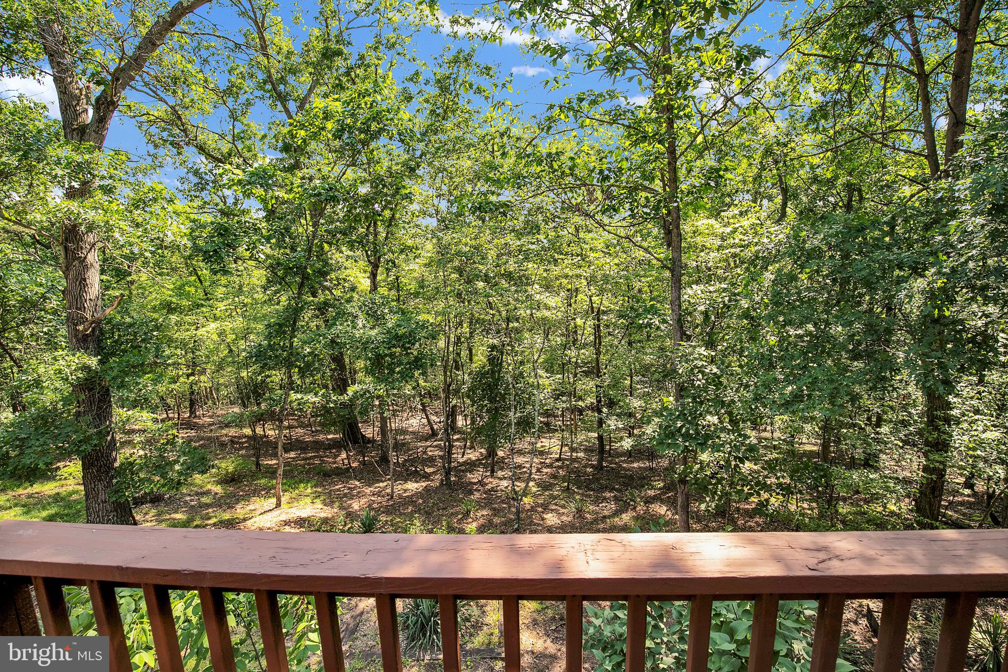 986 Walden Road Hedgesville, WV 25427 - Photo 38 of 64