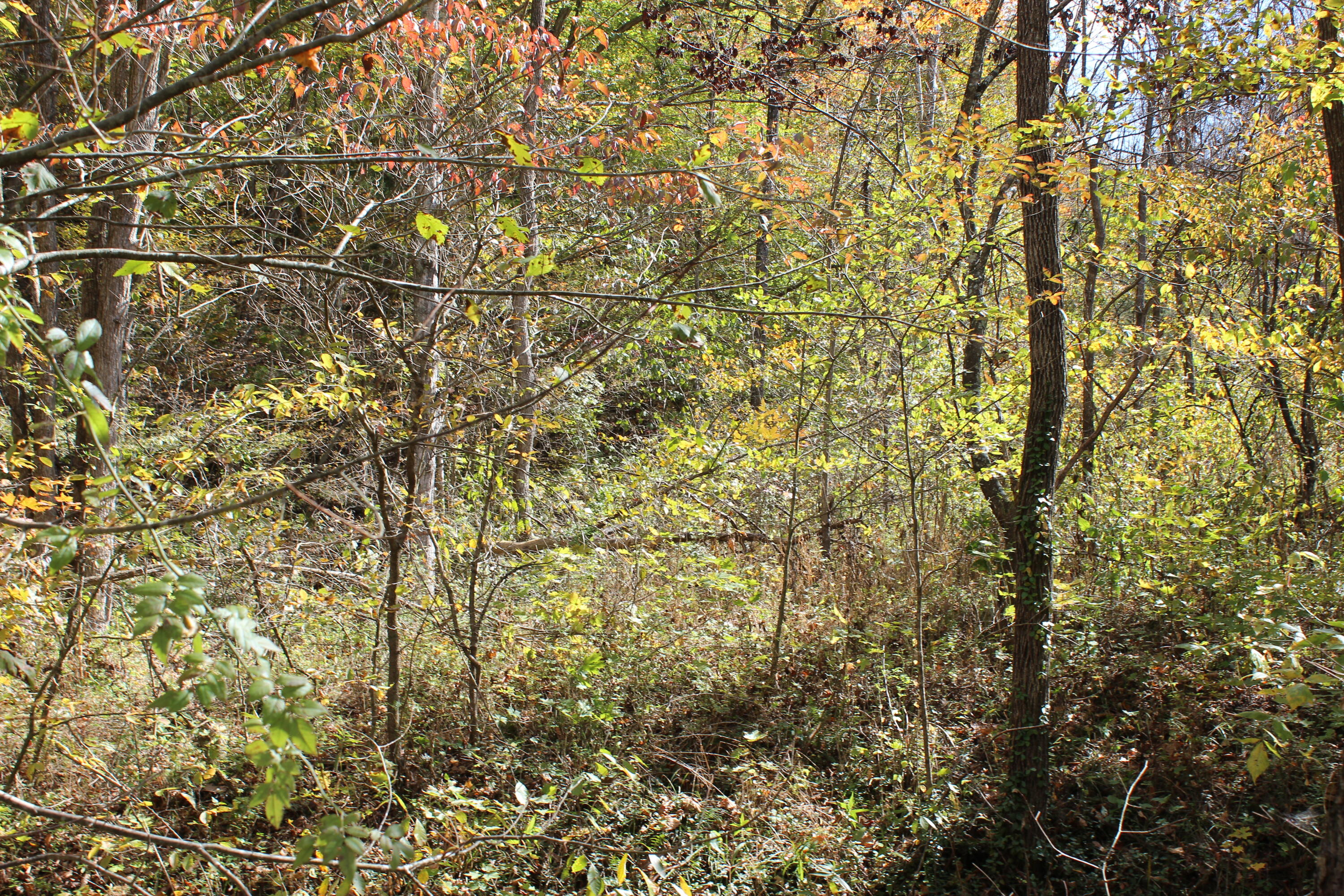 683 Adams Branch Road Frenchburg, KY 40322 - Photo 23 of 26 13