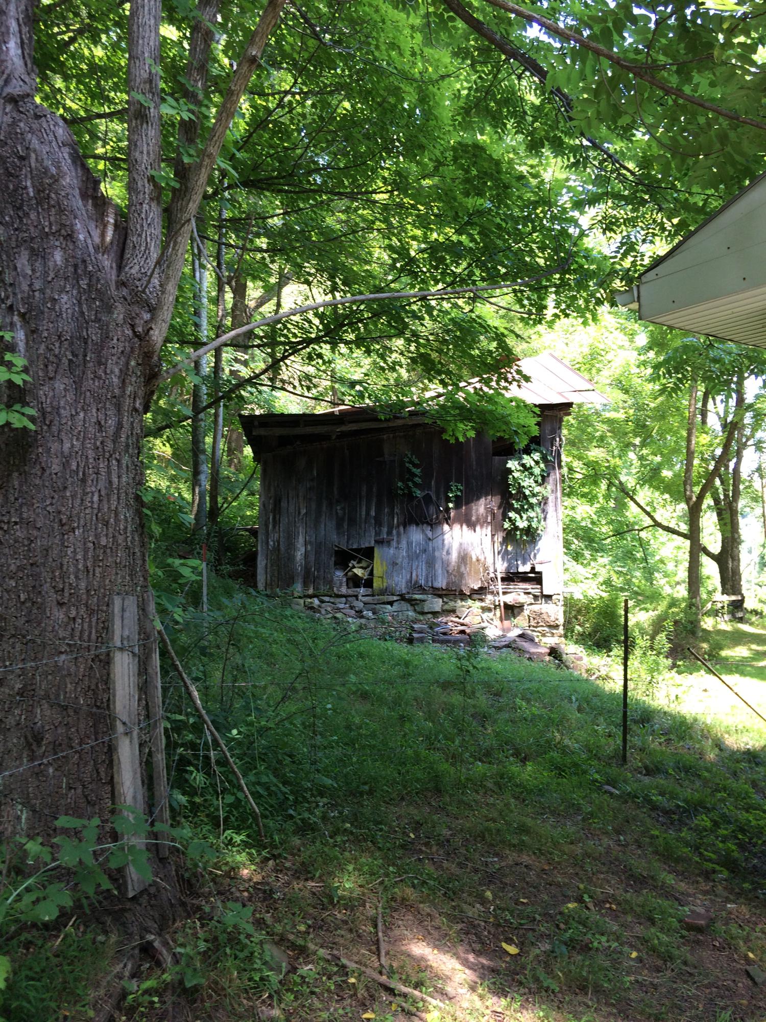 3655 1/2 Cornstalk Road Crawley, WV 24931 - Photo 28 of 43 Gallery Image 28