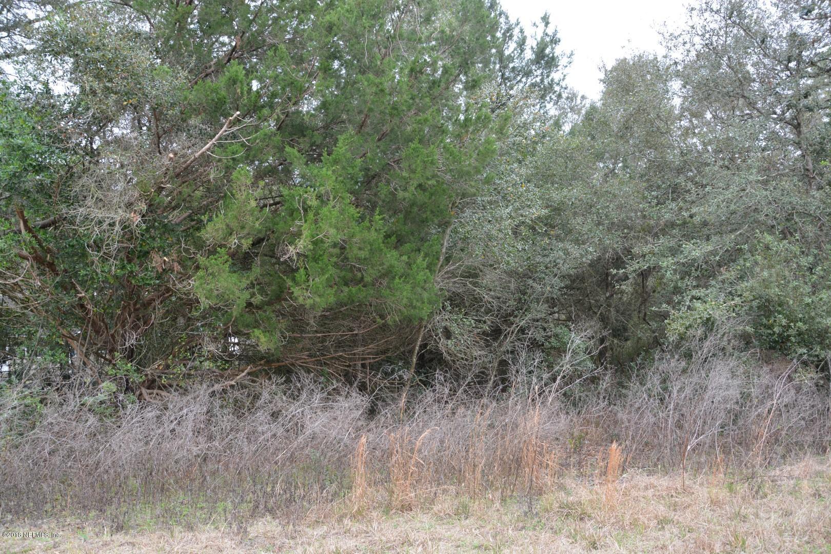 0 Immokalee Road Keystone Heights, FL 32656 - Photo 1 of 1 Wooded Lake Brooklyn Lot