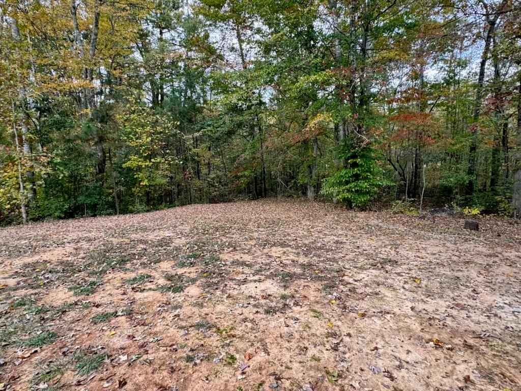 566 Clinton Drive Temple, GA 30179 - Photo 37 of 40 a view of an outdoor space with a lake view