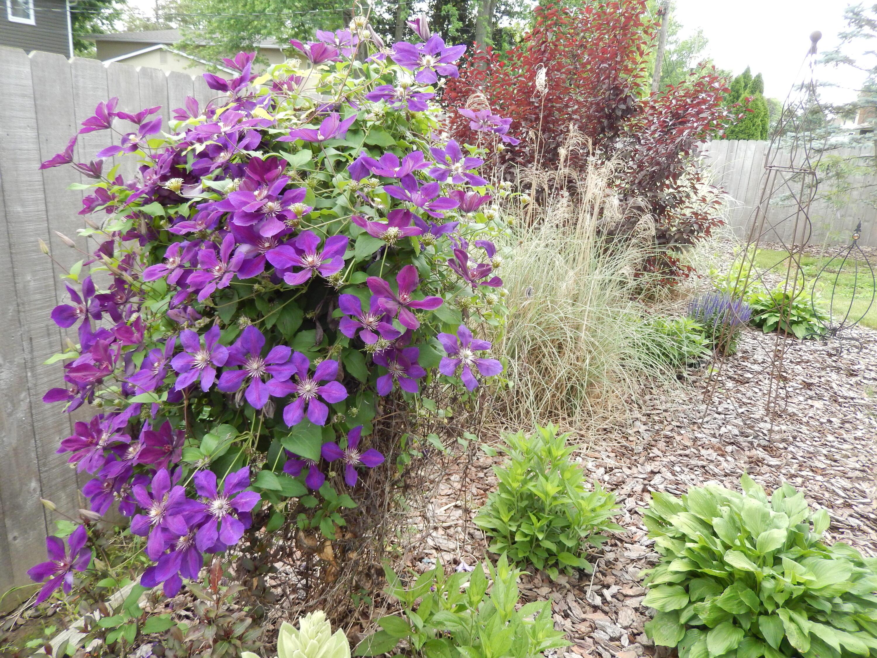 5004 Shadycrest Road Columbus, OH 43229 - Photo 42 of 47 Gallery Image 42