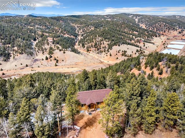 1055 Timber Ridge Road Divide, CO 80814 - Photo 40 of 47 Birds eye view of property featuring a mountain view and a forest view
