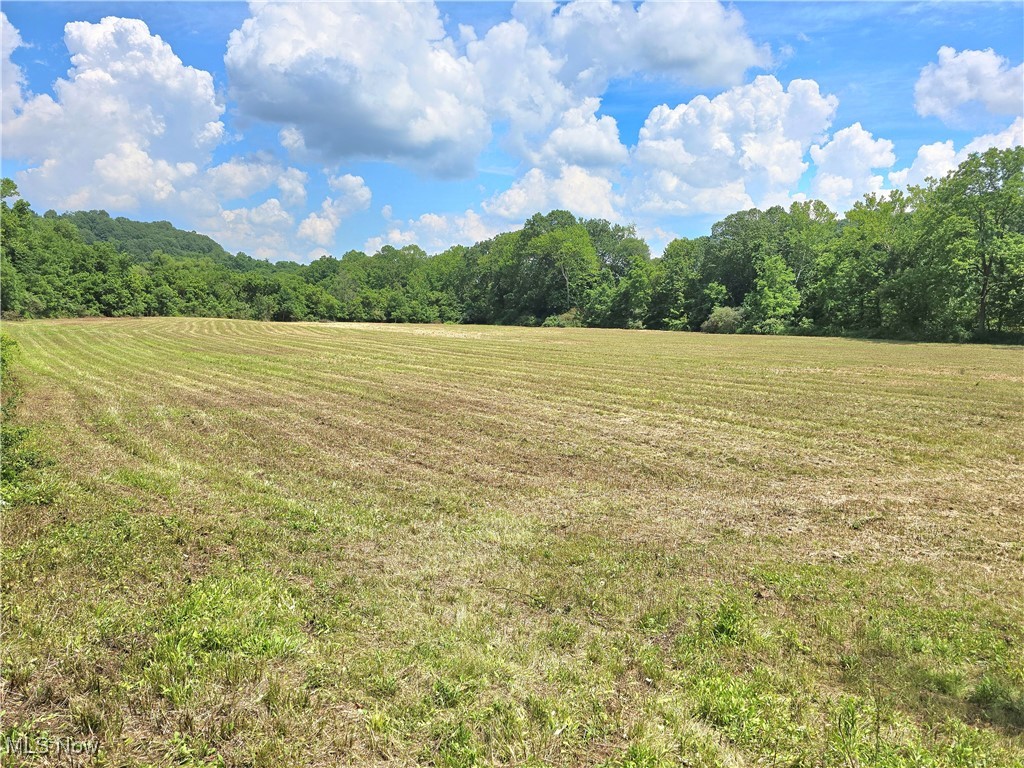 13 Rd Stockport Oh 43787 Road Stockport, OH 43787 - Photo 2 of 15 View of green lawn with a wooded view and a view of countryside
