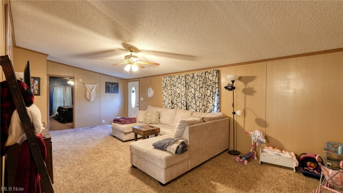 53447 Mud Run Road Senecaville, OH 43780 - Photo 10 of 31 Living room featuring a textured ceiling, ceiling fan, and light colored carpet