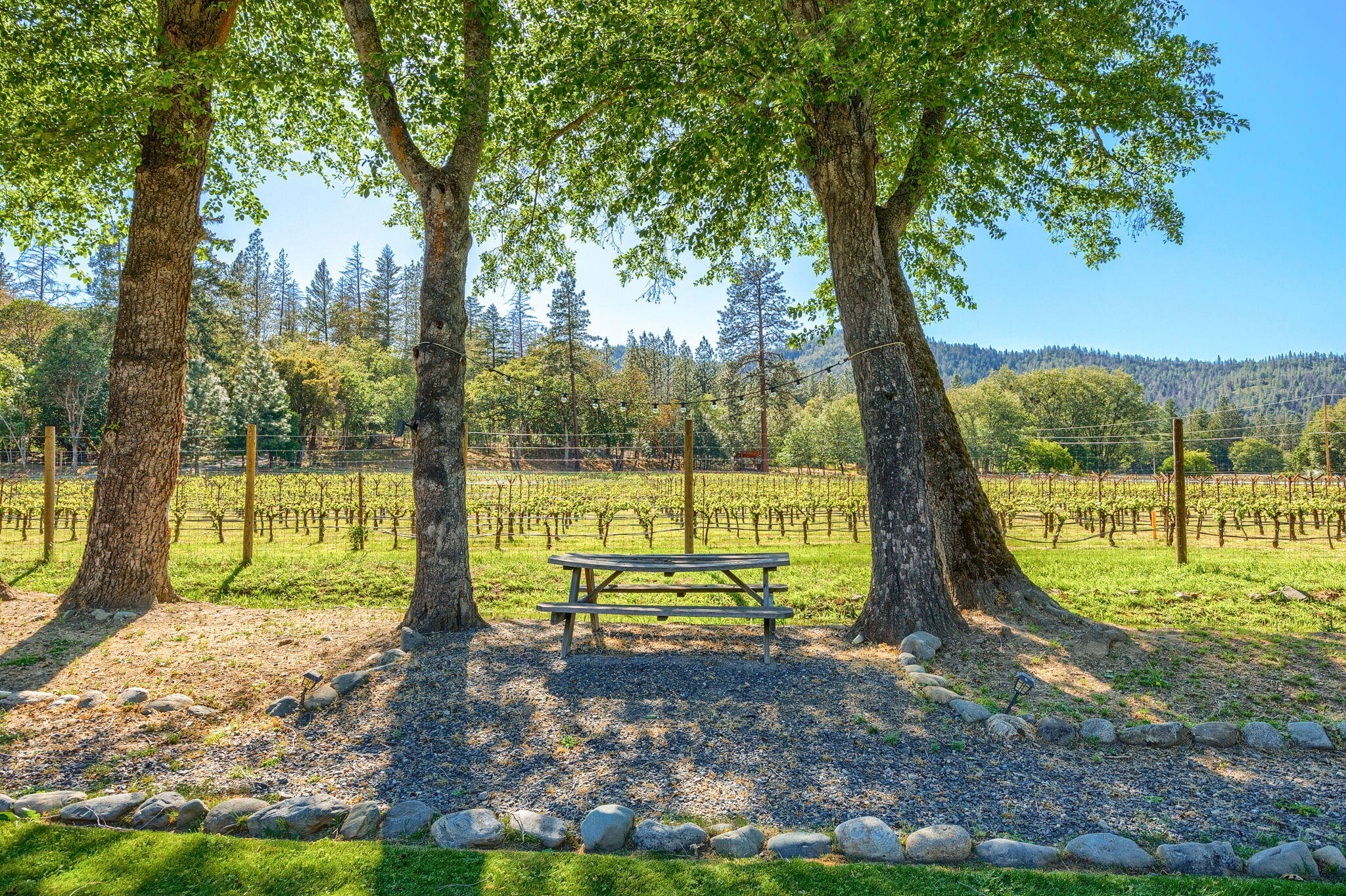 8127 Upper Applegate Road Jacksonville, OR 97530 - Photo 50 of 117 53